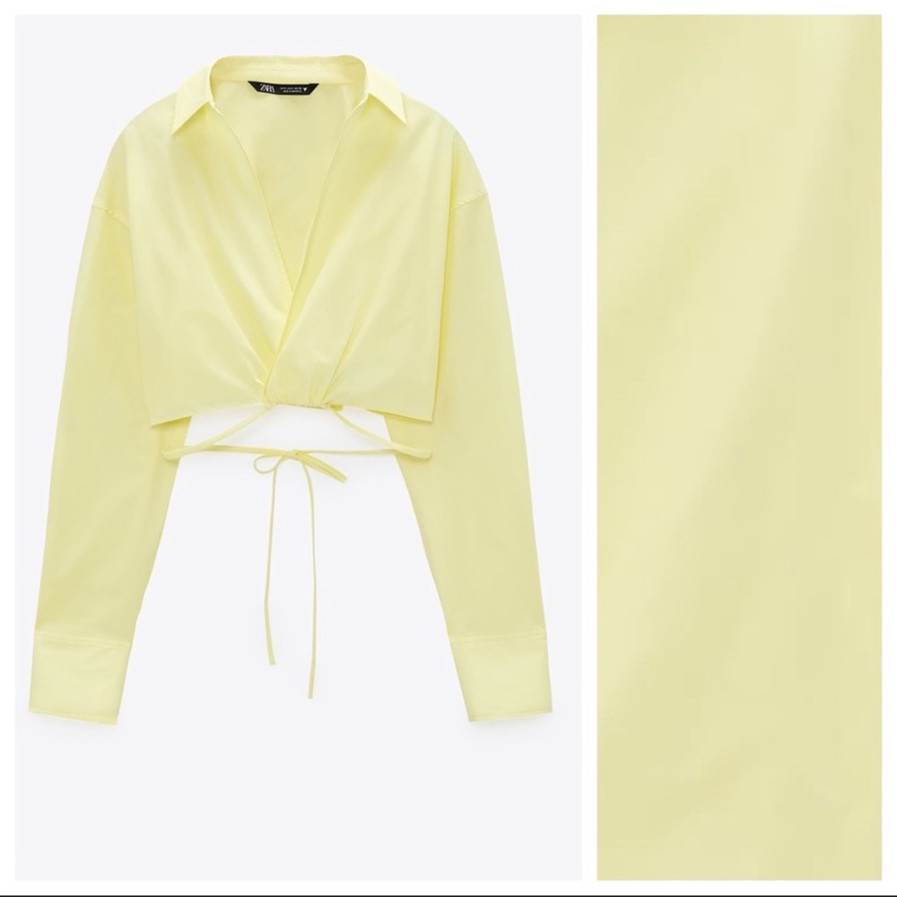 Zara long sleeve crop top